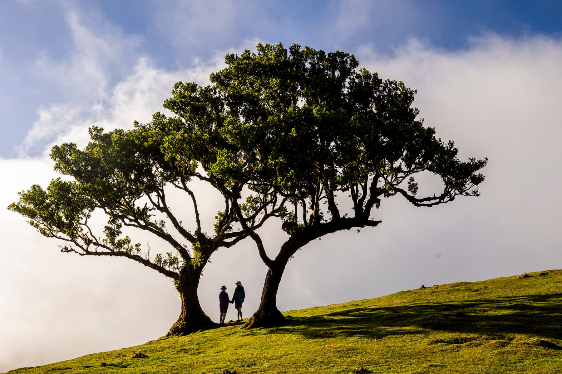 WAndreVenture Photo Tours